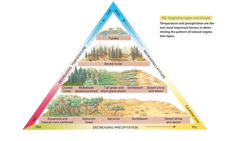 12 Vegetation types and climate: defining biomes 20 | Download ...