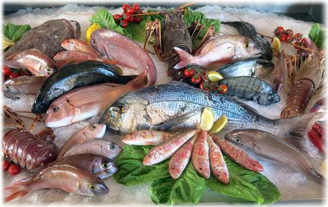 Полезные продукты для собак - список продуктов