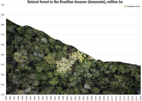 √1000以上 amazon rainforest deforestation map 2020 216285-How much of the ...