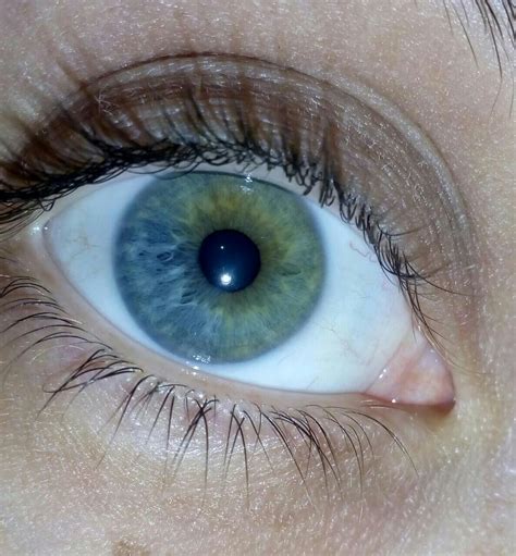 My girlfriends eyes is a half blue and half green. : r/eyes