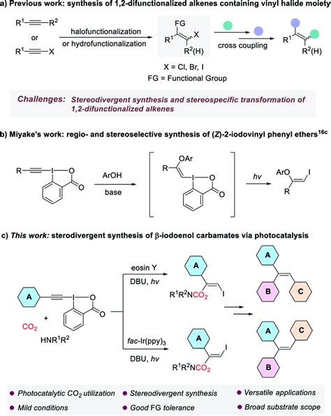 Synthesis and transformation of 1,2-difunctionalized alkenes containing ...