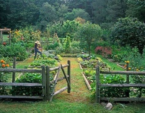 Most Popular Kitchen Garden Design Ideas 14 Dream Garden Perfect