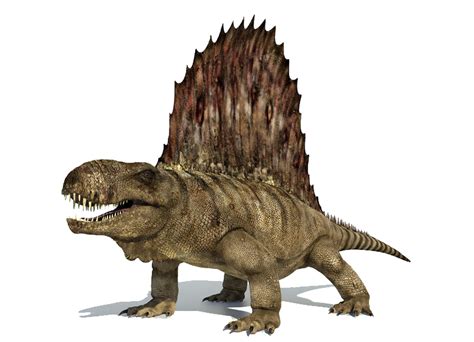 Dimetrodon Dinopedia Fandom