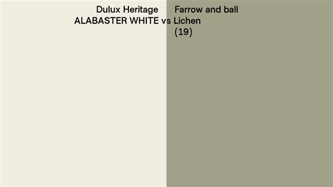 Dulux Heritage Alabaster White Vs Farrow And Ball Lichen 19 Side By Side Comparison