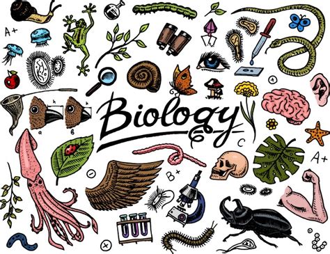 Biology Vector Images (over 470,000)