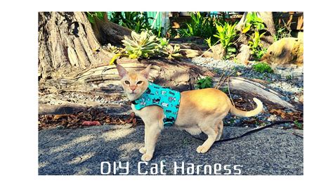 Sewing Diy Cat Harness And Leash Set And Pattern Linked 고양이 하네스 만들기 패턴