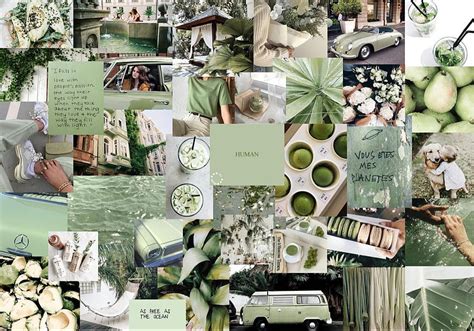 Wall Collage Kit Mint Sage Green Estetik Li Set Sage Green Collage