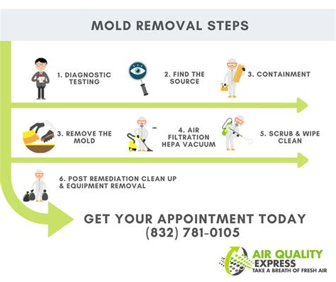 Effective Mold Removal Guide