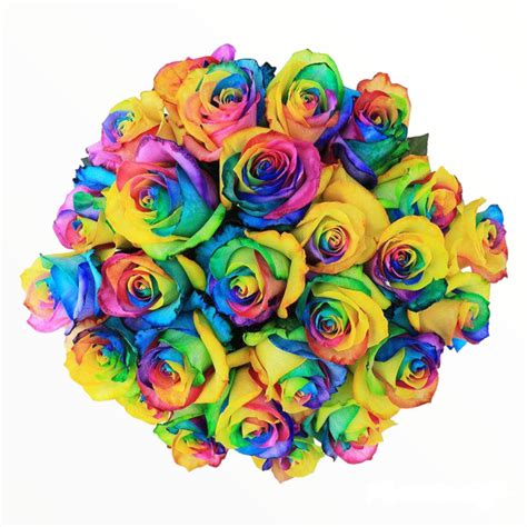 24 Rainbow Roses Bouquet a9034 | Flower Delivery | Flower Shop