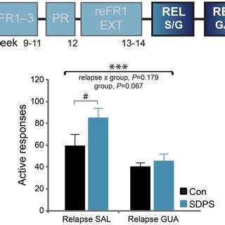 Sdps Does Not Affect Acquisition Of Sucrose Sa Nor Sucrose Consumption