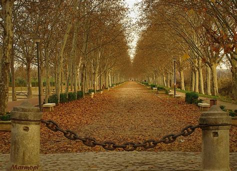 Paseo De Los Chopos Country Roads Farmland Outdoor