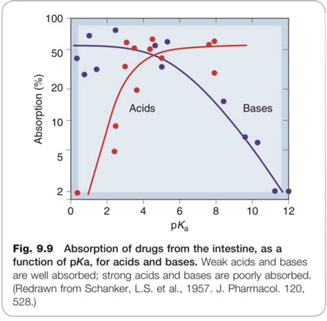 Pharmacokinetics Flashcards Quizlet