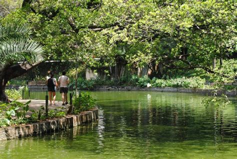 Conheça 5 Dos Melhores Parques Urbanos Do Brasil The North Face Blog