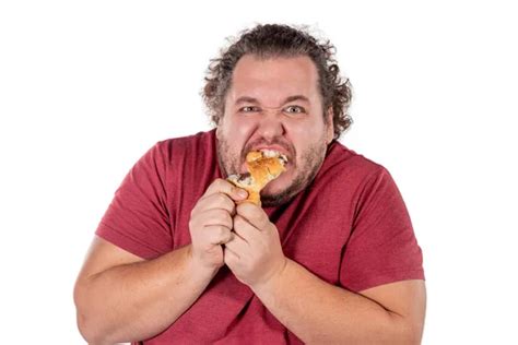 Fat Man Eating A Chocolate Muffin — Stock Photo © Gelpi 9424589