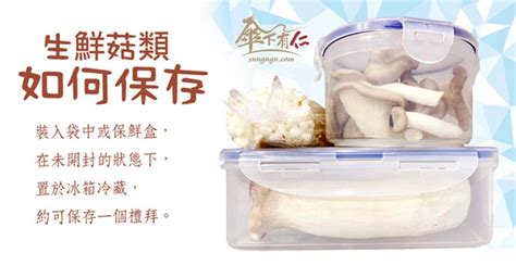 「生鮮菇類」如何保存 傘下有仁－蔬食料理包．柴米油鹽醬醋茶