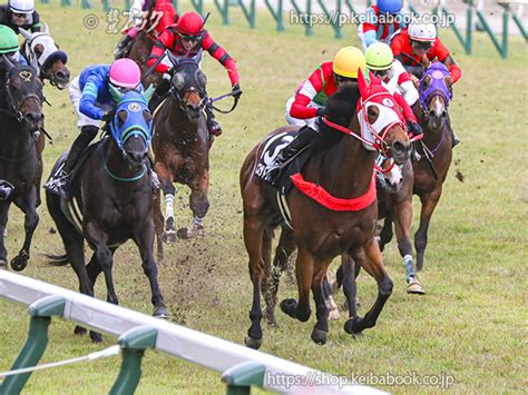 競馬ブックネットshop カラープリントアルミ枠付き2024年5月19日新潟11r 韋駄天ステークスチェイスザドリーム