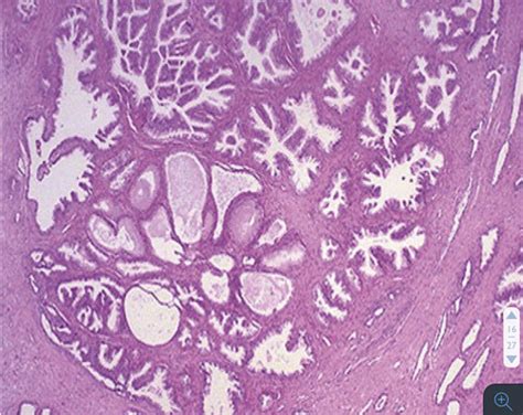 Week 4 - Flashcards | Quizlet 