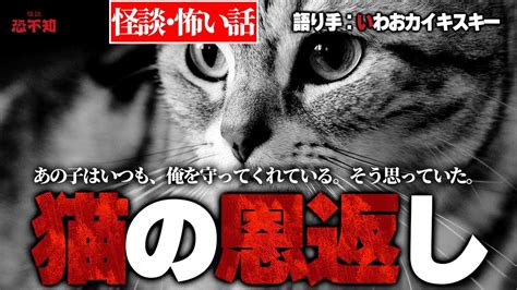 猫の恩返し【怪談・怖い話】 語り手：いわお☆カイキスキー 怪談恐不知 Youtube