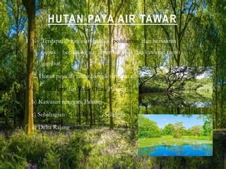 HUTAN DI MALAYSIA(GEOGRAFI TINGKATAN 3 BAB 7) | PPT