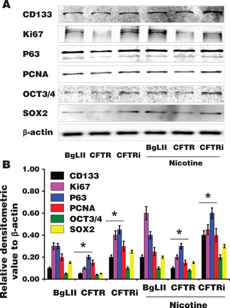 Cystic Fibrosis Transmembrane Conductance Regulator Cftr Alters The Download Scientific