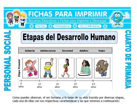 Personal Social Etapas Del Desarrollo Humano 4to Grado De Primaria Nbkomputer