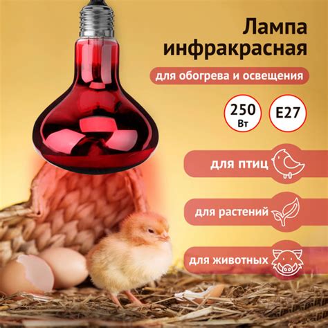 Излучатель тепловой икзк 230-250 R127 E27 (лампа инфракрасная) купить ...