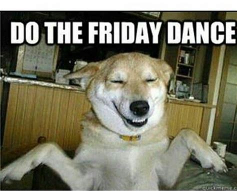 50+ Best Dancing Dog Memes