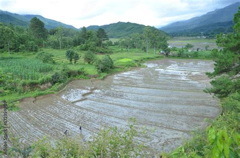 north east India Stock Photo | Adobe Stock