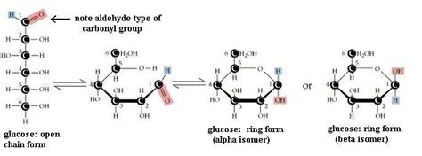 Glucose Molecule Model As A Ring Structure