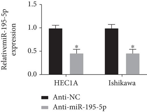 Sevoflurane Suppresses The Growth Metastasis And Invasion Of Ec Cells