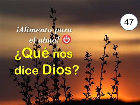 Alimento Para El Alma ¿qué Nos Dice Dios Youtube