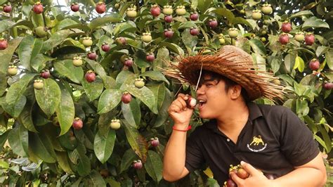 Wow Mouth Watering He Eating Mangosteen Fruit At Eating Delicious Youtube