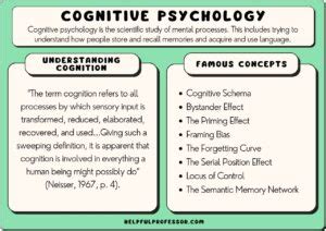 Top Cognitive Psychology Theories Explained