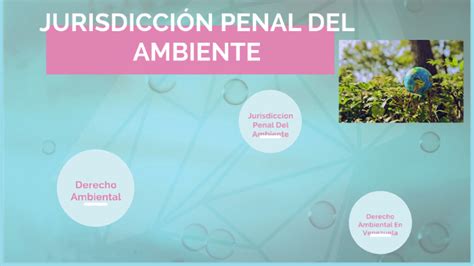 Jurisdicci N Penal Del Ambiente By Angie Makarena Zabala On Prezi