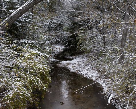 A Winter Creek | Smithsonian Photo Contest | Smithsonian Magazine