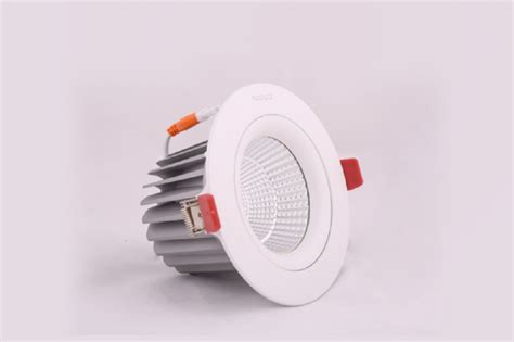 Round Cool White Warm White Ldl W Led Laura Downlight Ip