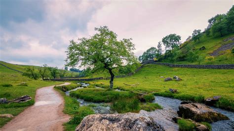 Free Picture Sky Summer Landscape Grass Tree Nature Water Outdoor