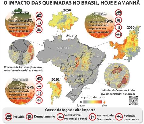 Mapa Mental Sobre Queimadas Fdplearn