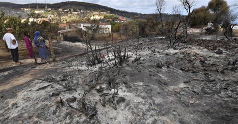 Greece Fires Fueled By Heat Wave Kill At Least 3 On Evia Island As