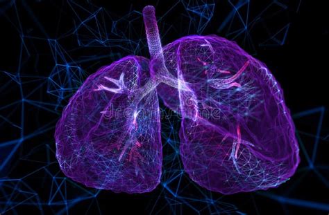 Human Lungs Organ Anatomy Pneumonia Organ Transplant Tuberculosis