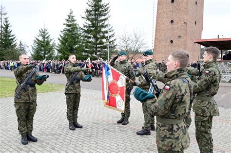 Galeria Kategoria O Nierze Dobrowolnej Zasadniczej