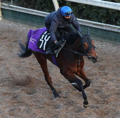 良血マンデヴィラ初陣へ友道師「さすがの走り」半兄ヴェルトライゼンデは日経新春杯制覇／新馬戦 3歳馬特集 競馬 日刊スポーツ