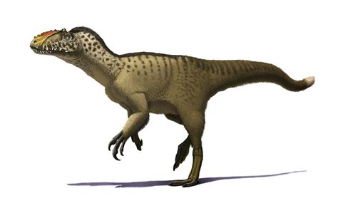 Ichthyovenator vs Yutyrannus