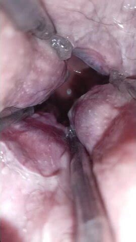 Stretch My Ass Daddy And Make Me Piss Thisvid