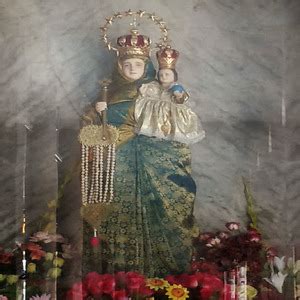 Our Lady of Velankanni Novena - ChurchTimings