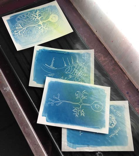 Cyanotype Prints With Explore Lifelong Learning Cando Newcastle