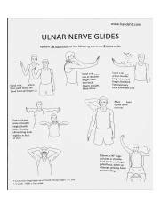 Ulnar Nerve Glides.jpg - www.handshb.com ULNAR NERVE GLIDES Perform 10 repetitions of the ...