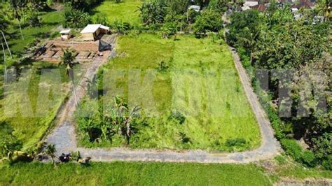 Dijual Tanah Silungan Lodtunduh Ubud Cocok Untuk Dibangun Villa