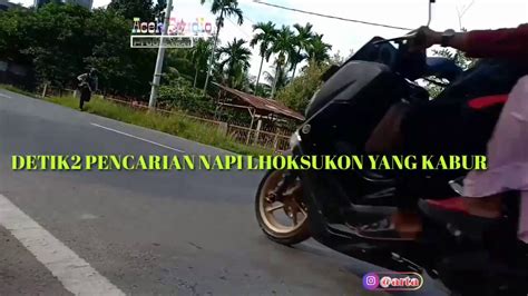 DETIK DETIK KABUR NAPI LHOKSUKON YouTube