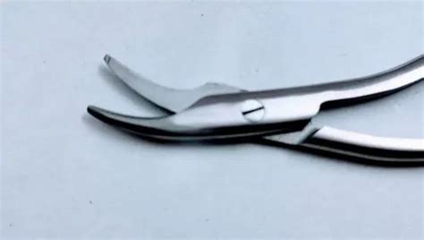 Zenec Sharp Suture Scissor For Hospital Size Dimension Free At Rs